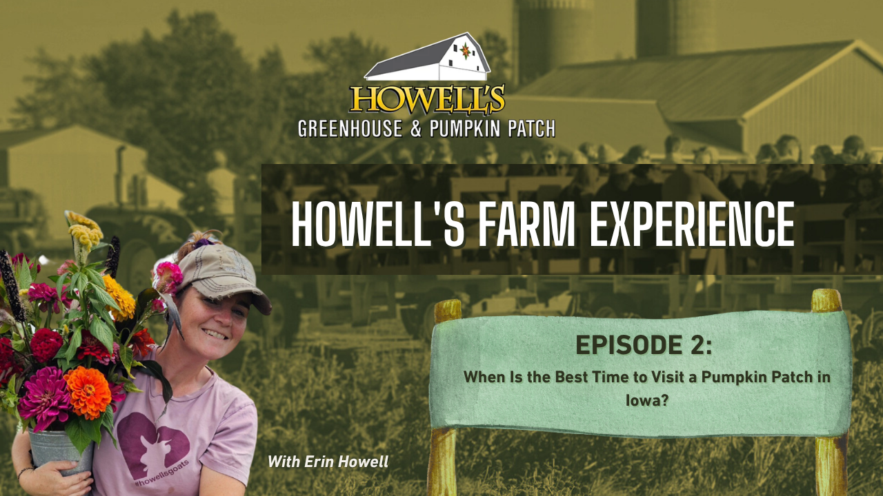 Erin Howell of Howell&rsquo;s Greenhouse & Pumpkin Patch holding a vibrant bouquet of seasonal flowers. The graphic is titled 'Howell&rsquo;s Farm Experience Episode 2: When Is the Best Time to Visit a Pumpkin Patch in Iowa?